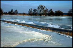 Die Oderwiesen im Winter