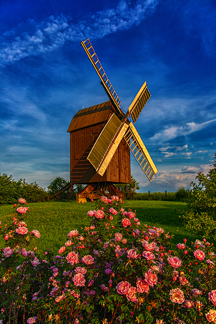 Die östliche Windmühle...