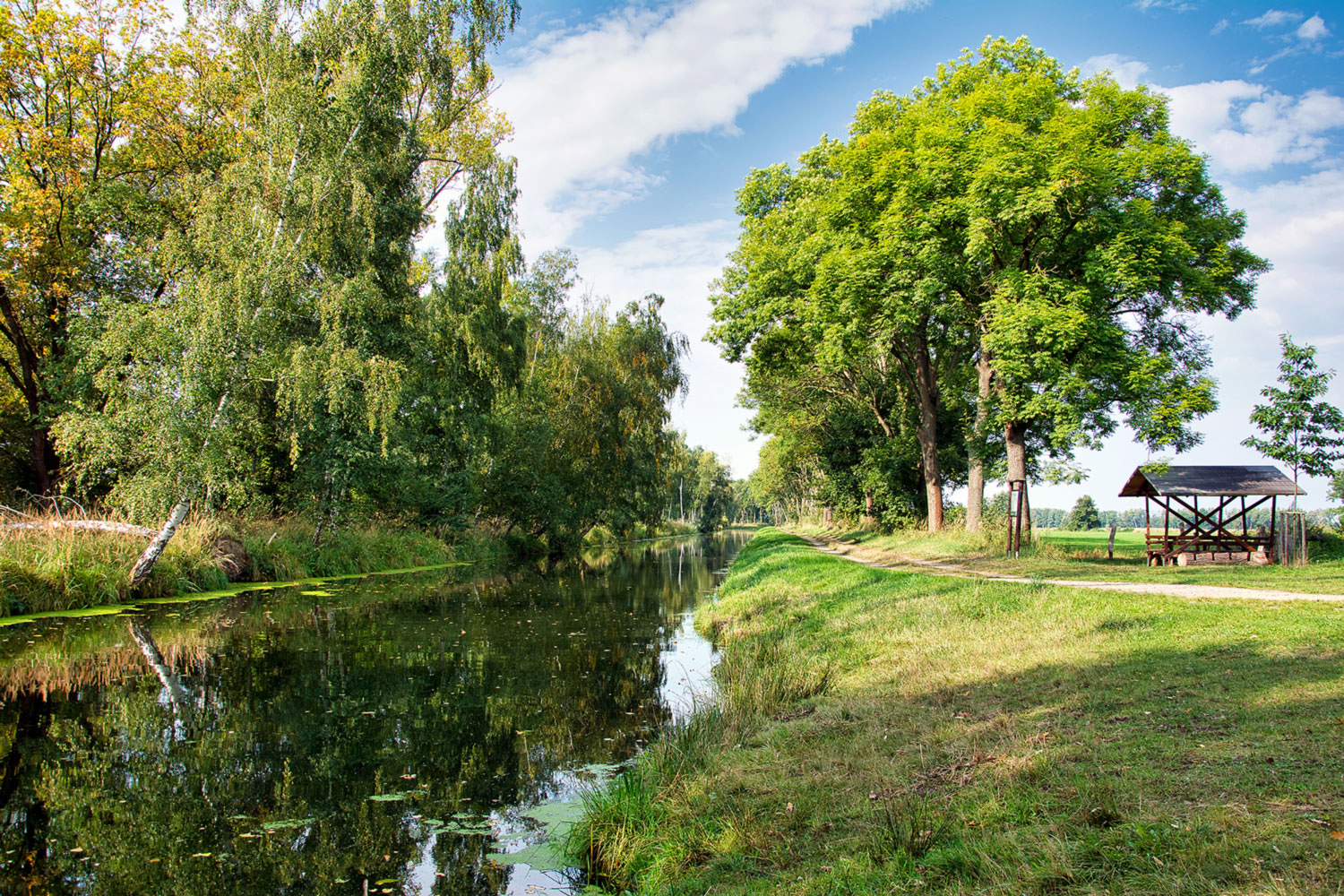 Die Ohre im Drömling