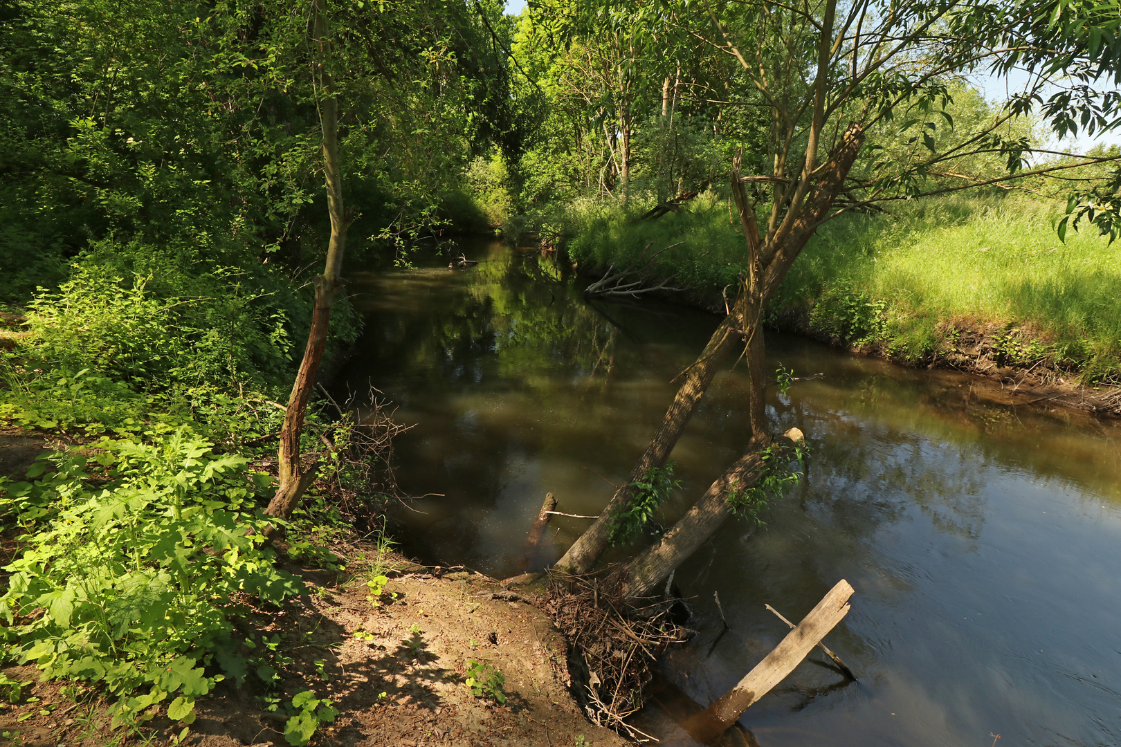 Die Oker am Heber