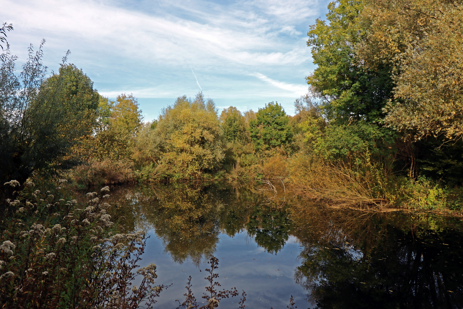 Die Oker am Hessenkamp