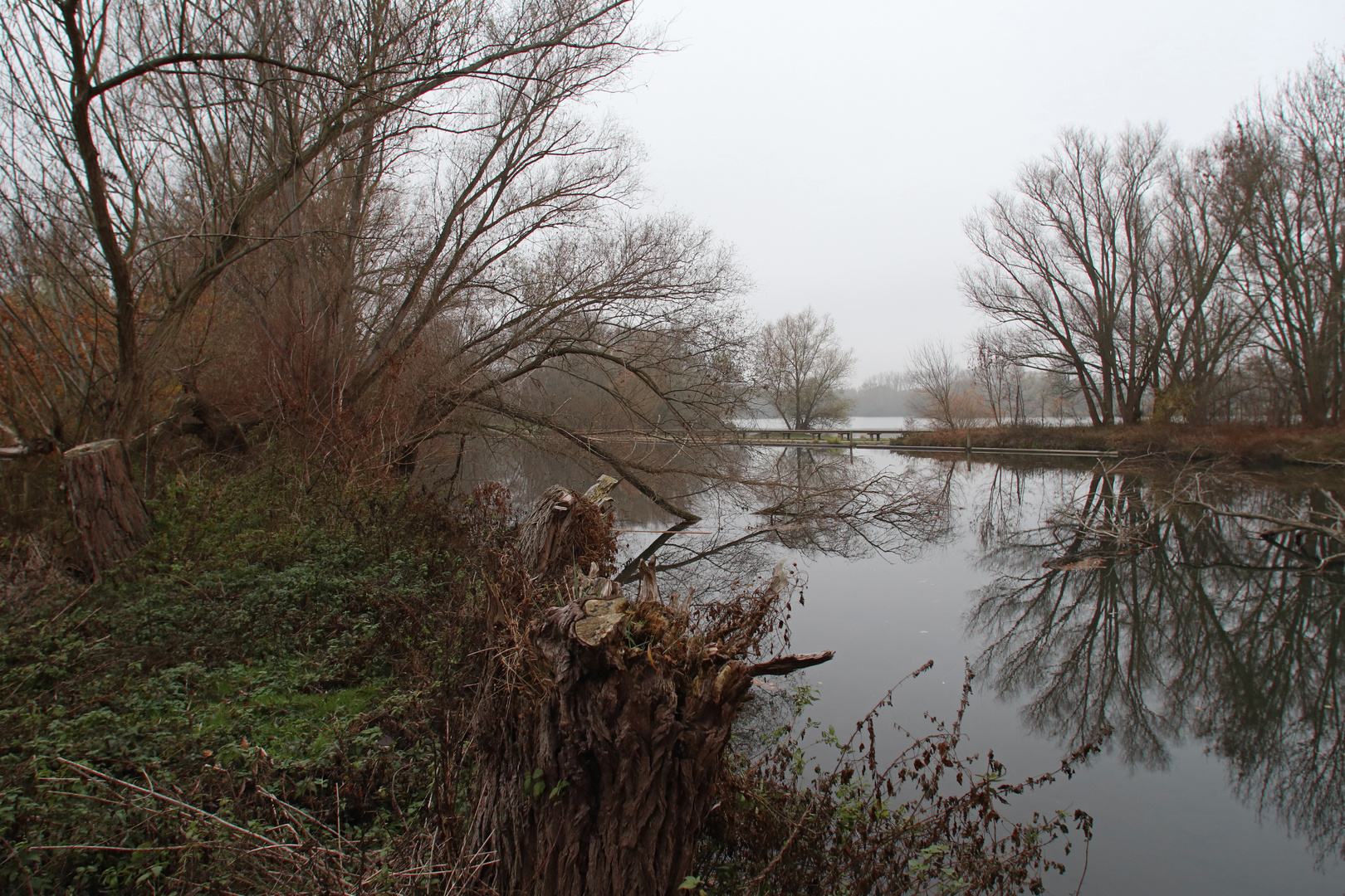 Die Oker am Ölper See