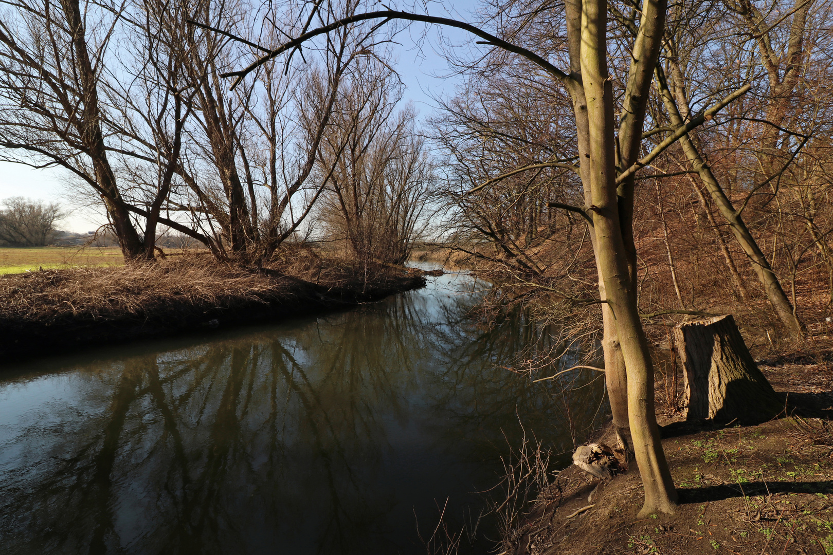 Die Oker am Schwarzen Berge