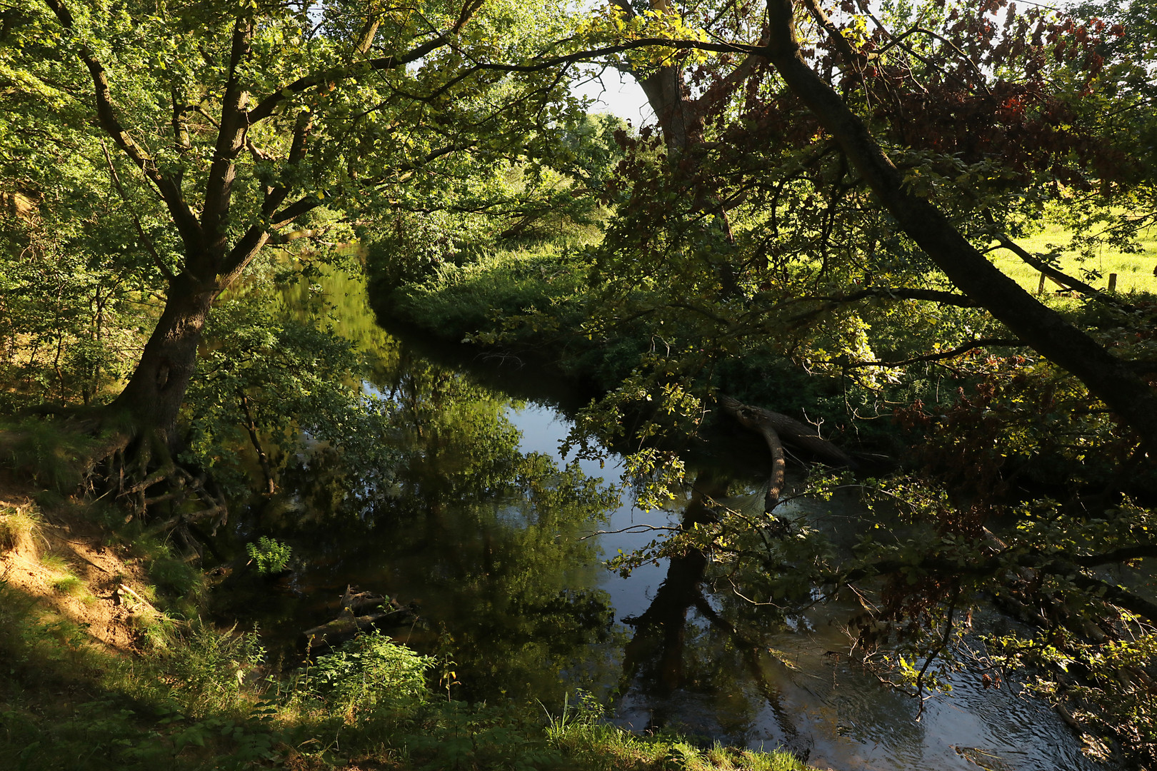 Die Oker am Steilufer