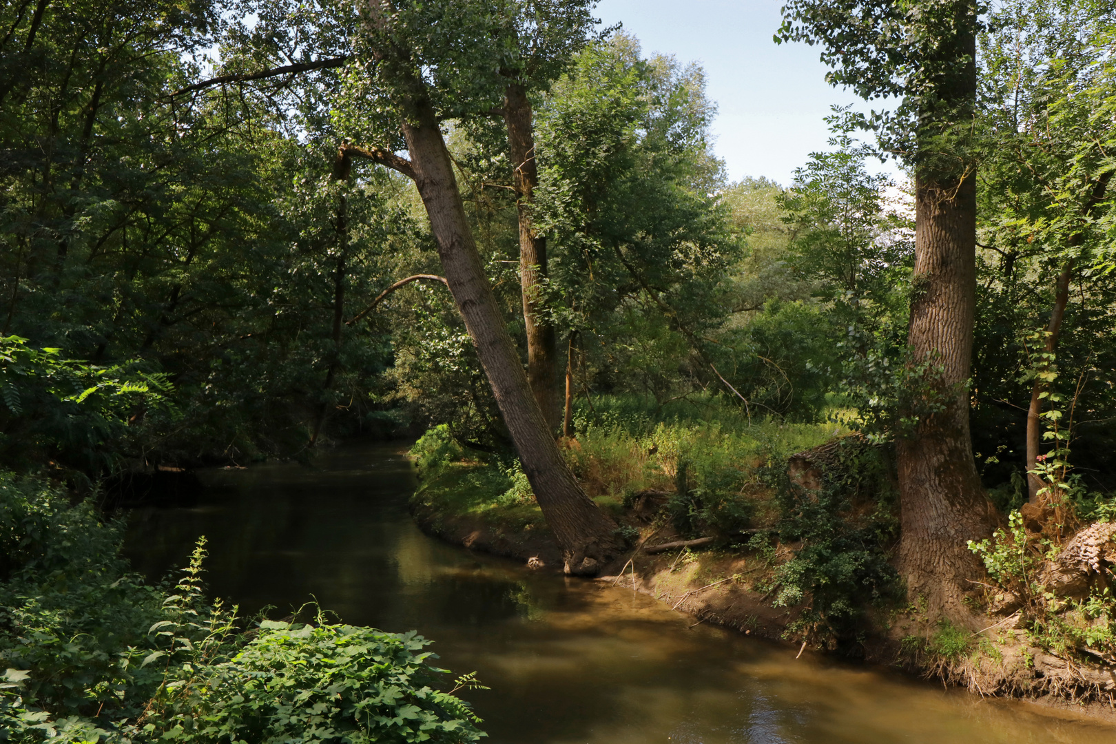 Die Oker an der Alten Landwehr