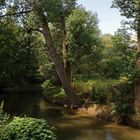 Die Oker an der Alten Landwehr