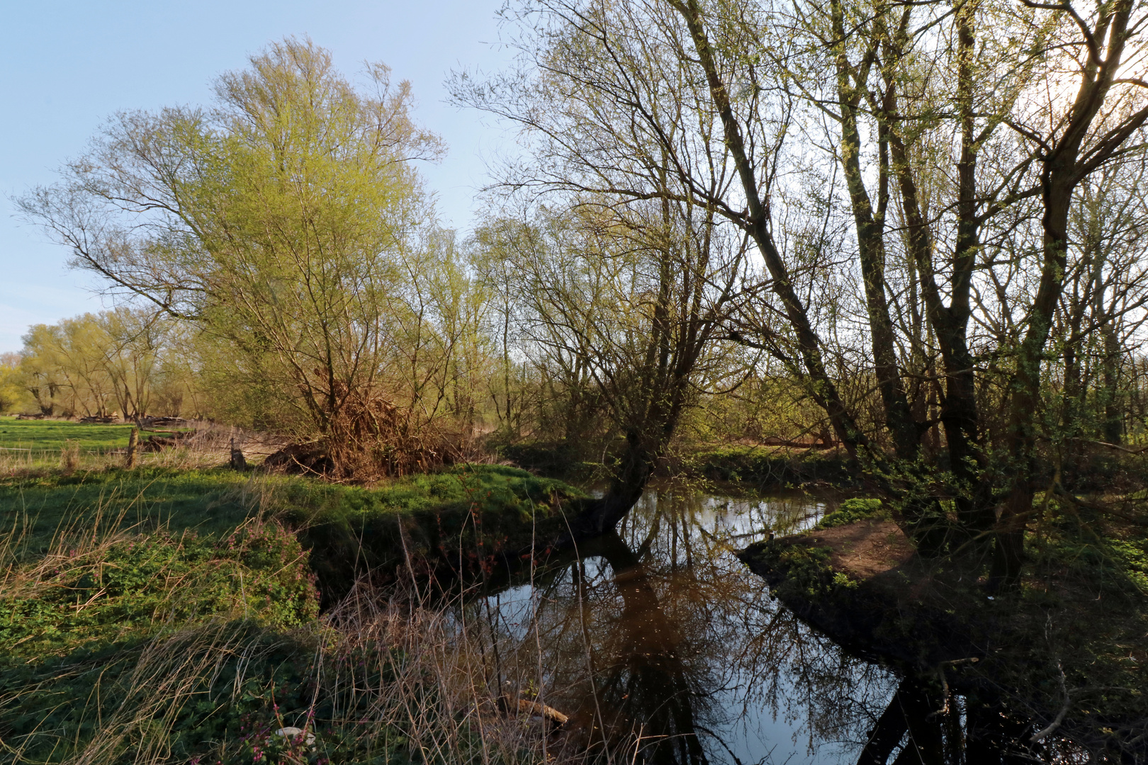 Die Oker an der Osterwiese