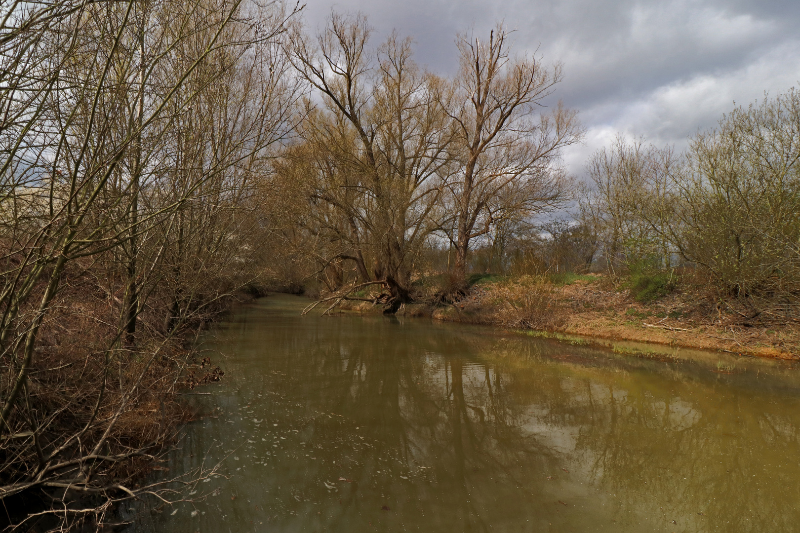 Die Oker bei Rothemühle