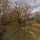 Die Oker bei Rothemühle