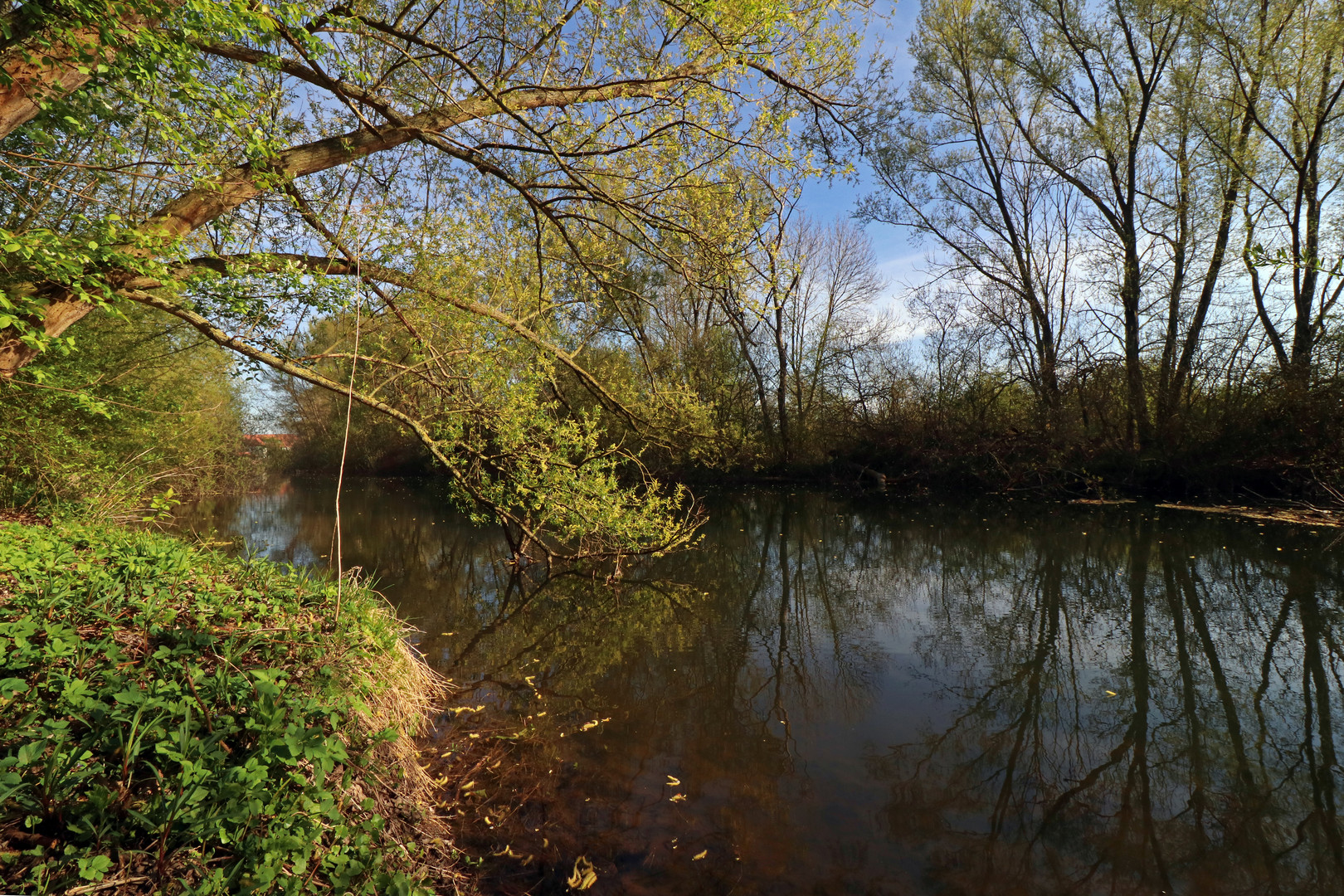 Die Oker bei Stöckheim