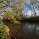 Die Oker bei Stöckheim