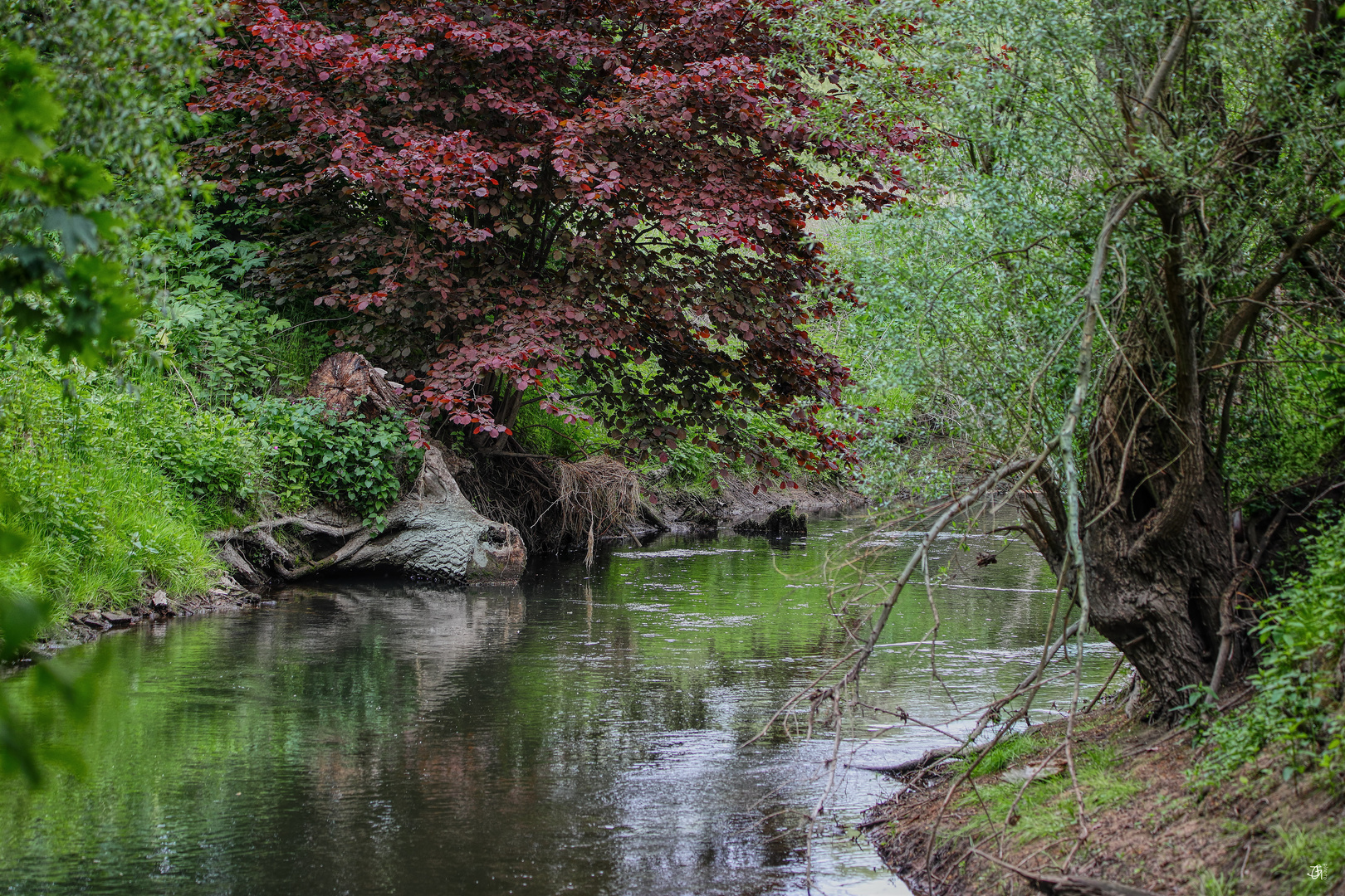 Die Oker bei Veltenhof