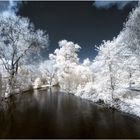 Die Oker im Bürgerpark