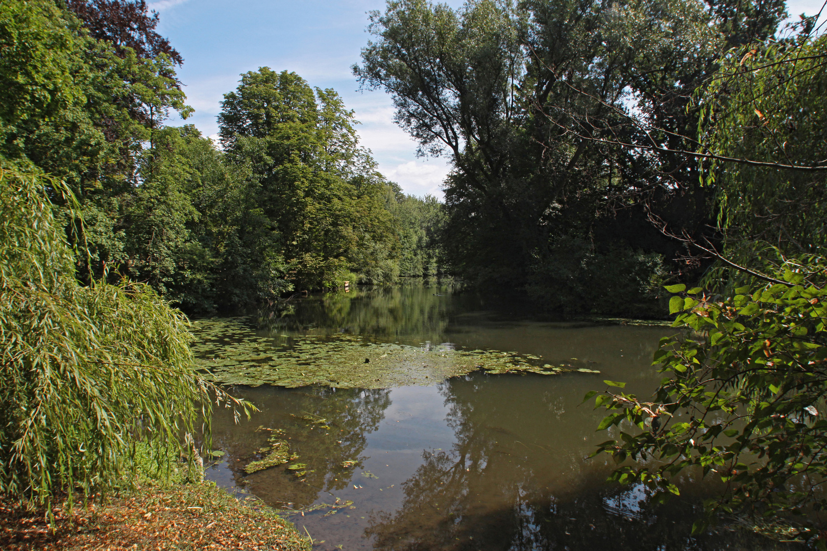 Die Oker im Bürgerpark