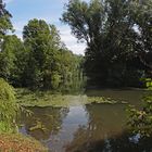 Die Oker im Bürgerpark