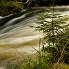 Die Oker im Harz