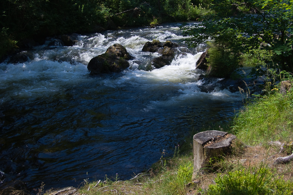 Die Oker im Harz.