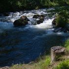 Die Oker im Harz.