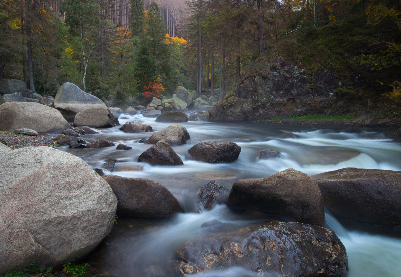 Die Oker im Harz