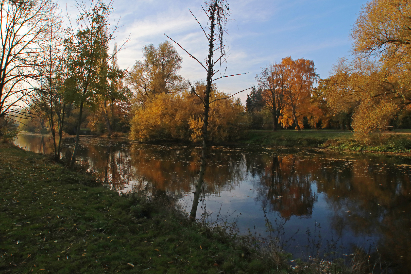 Die Oker im Morgenlicht Foto & Bild | landschaften, wasser, bäume ...