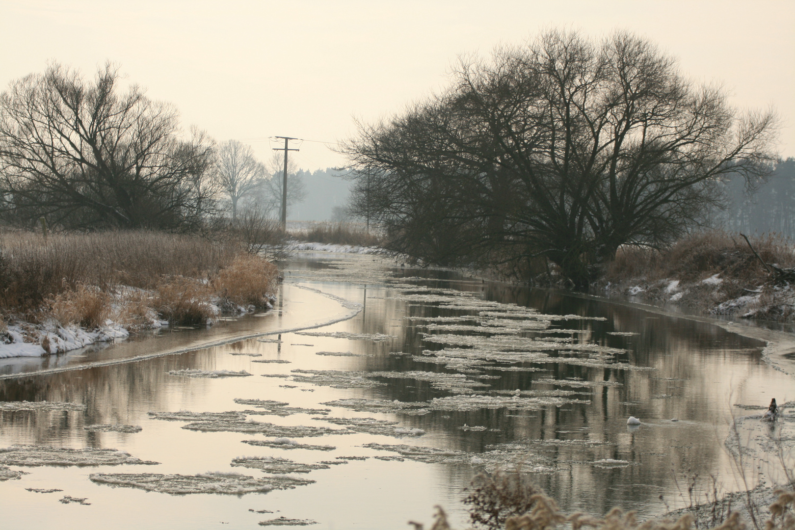 Die Oker im Winter