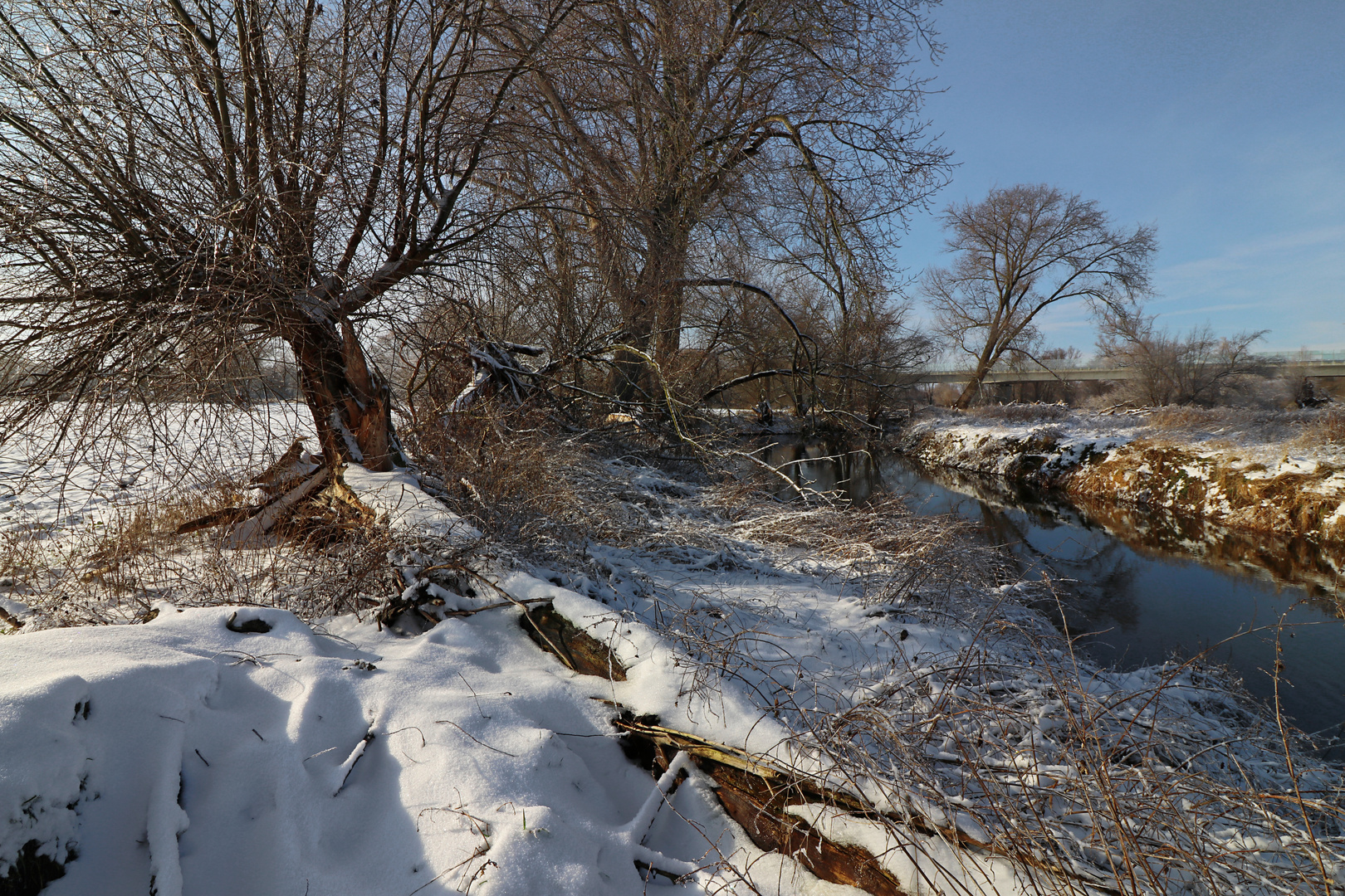 Die Okeraue im Winter