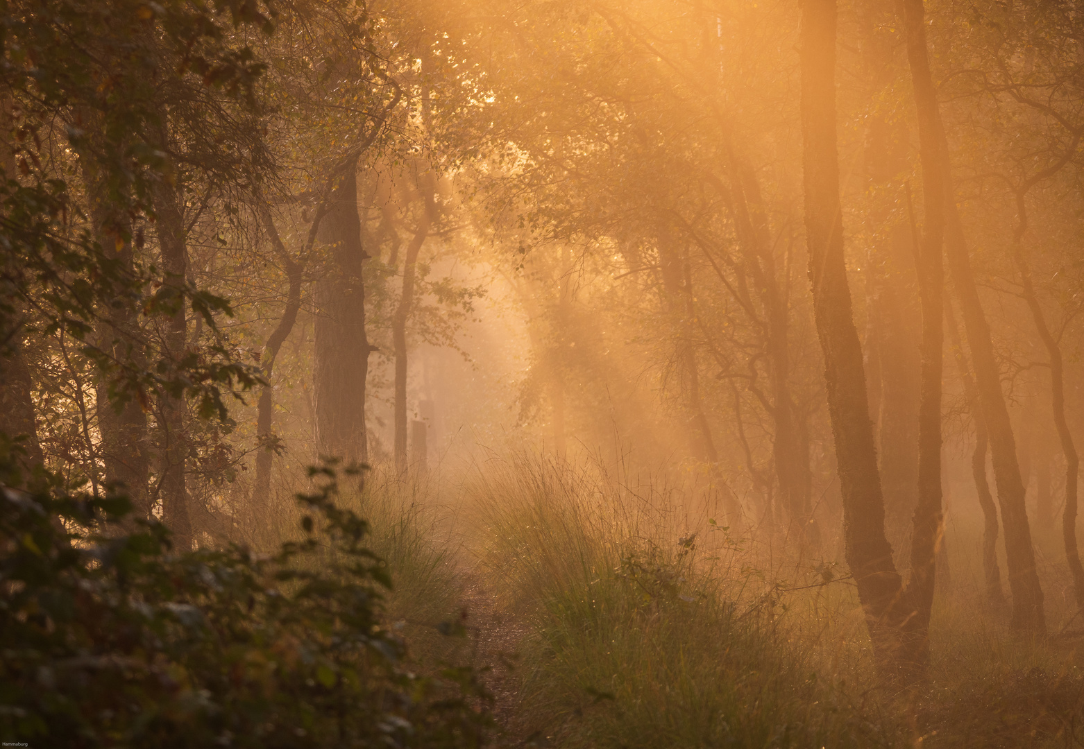 Die Oktobersonne....