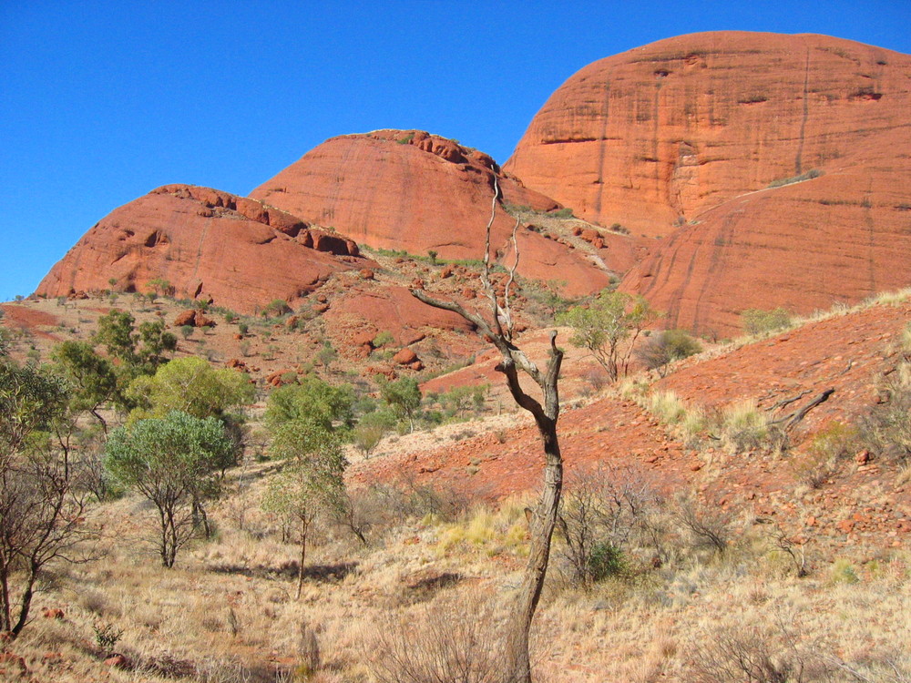 Die Olgas (Kata Tjuta)