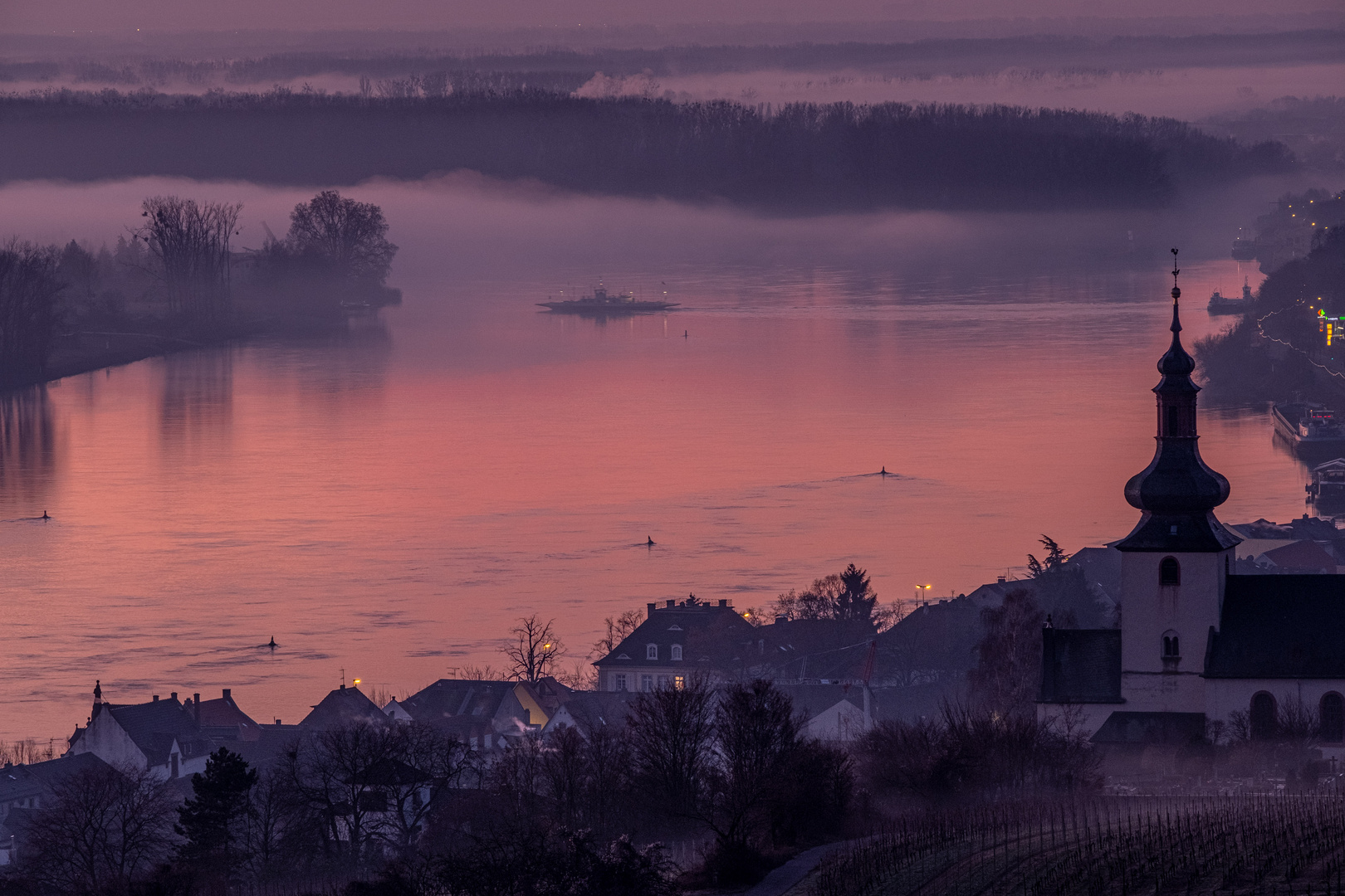 Die Oppenheimer Rheinfähre