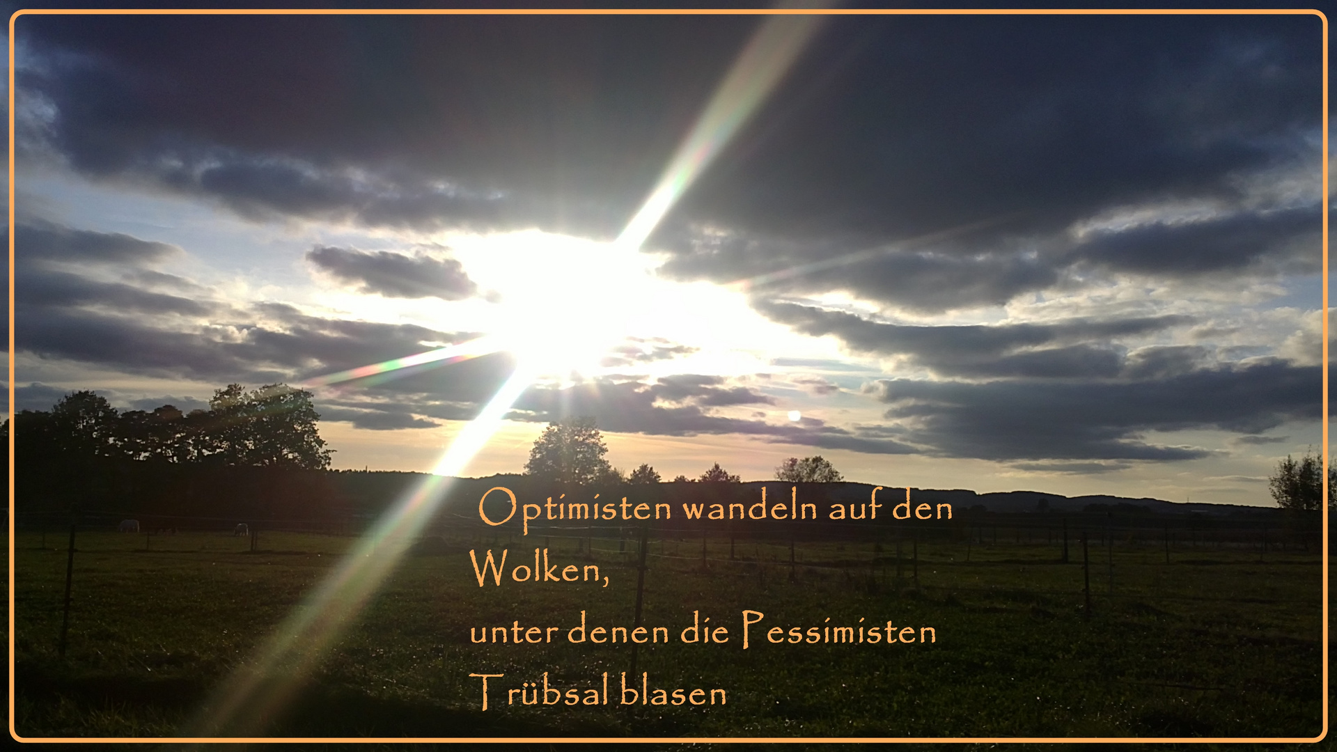 die Optimisten