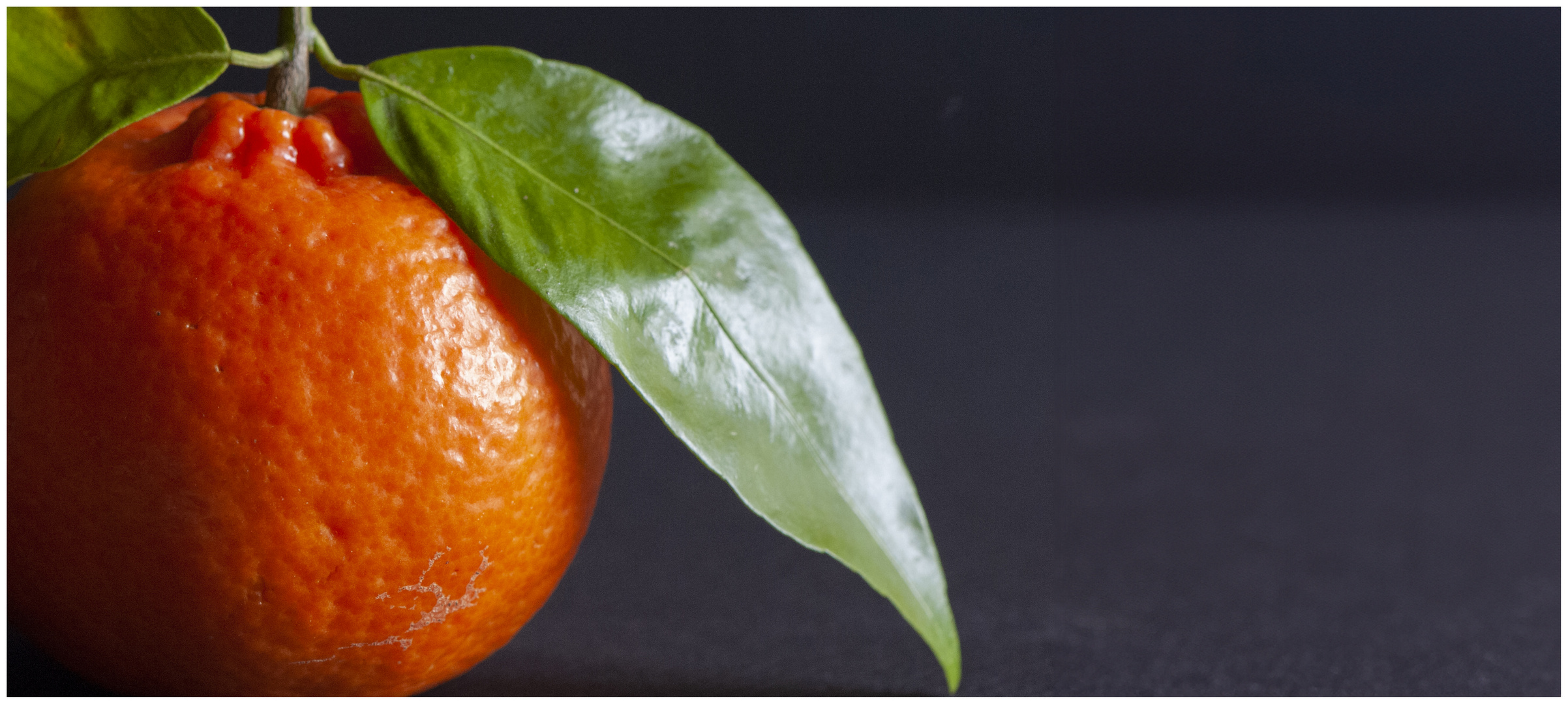 die orange Frucht