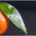 die orange Frucht