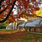 Die Orangerie im Park Klein Glienicke