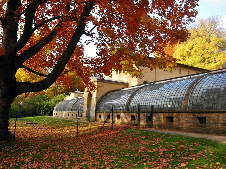 Die Orangerie im Park Klein Glienicke