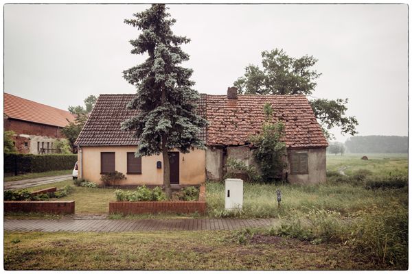 die Ordnung der Dinge #31 ....