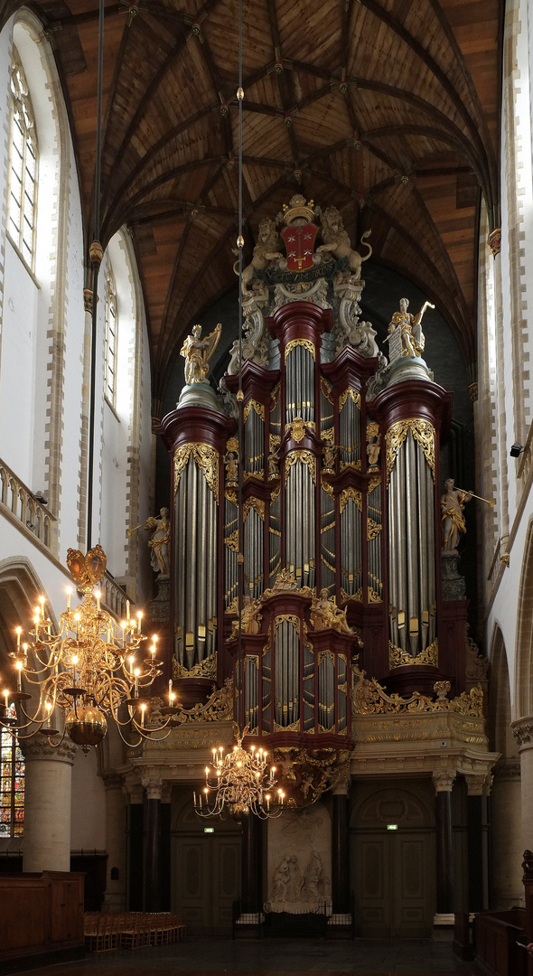 die Orgel -3-