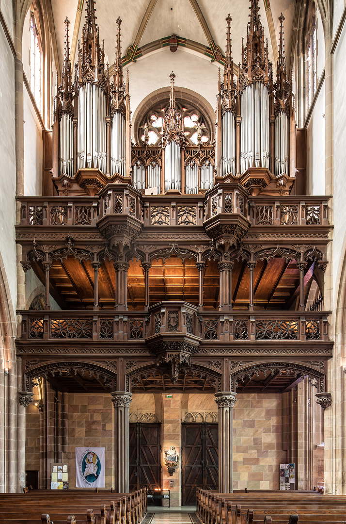 DIE ORGEL DES THEOBALDUS MÜNSTER.