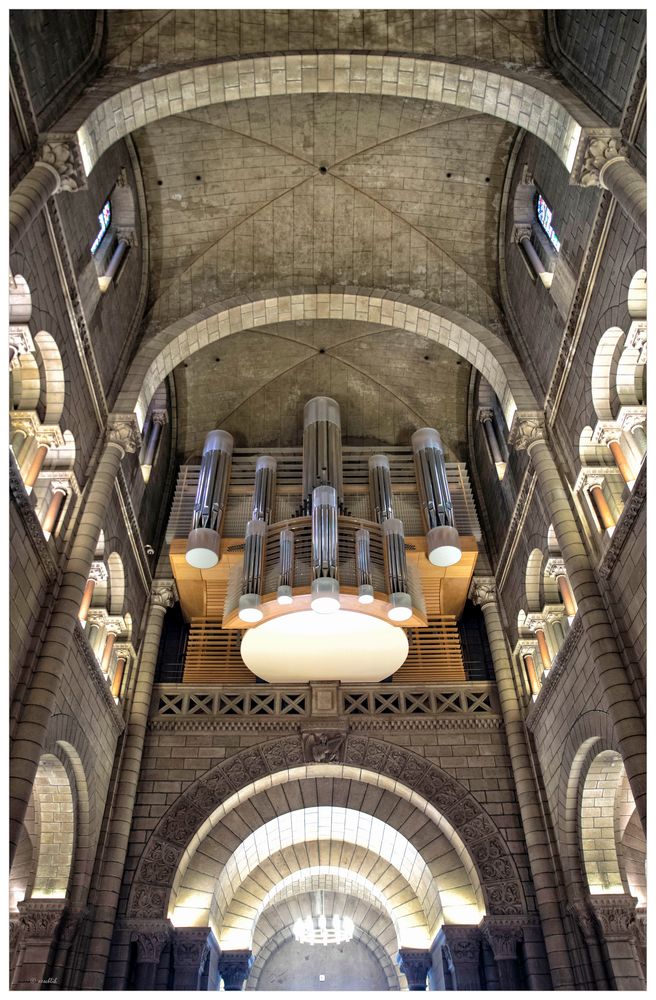 Die Orgel...  