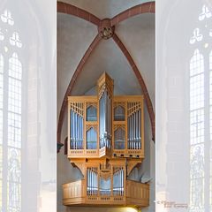 DIE ORGEL