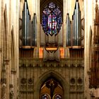 Die Orgel im Ulmer Münster
