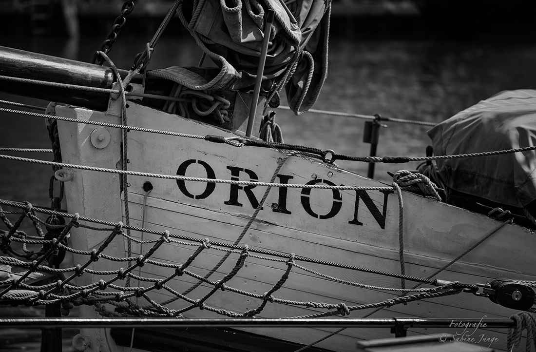 Die Orion