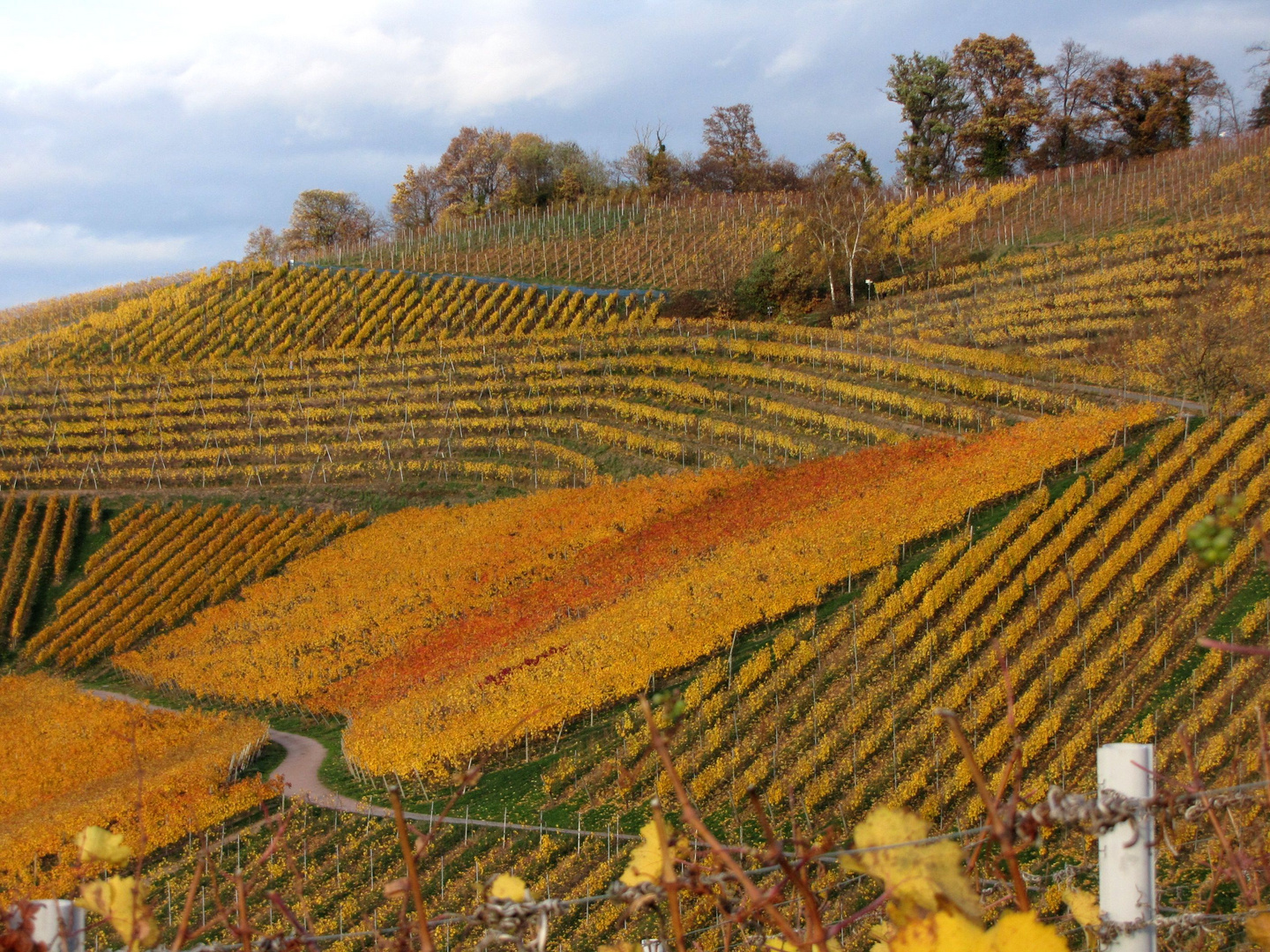 die Ortenau im Herbst