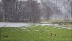 Die Osterhasen bereiten sich schon vor