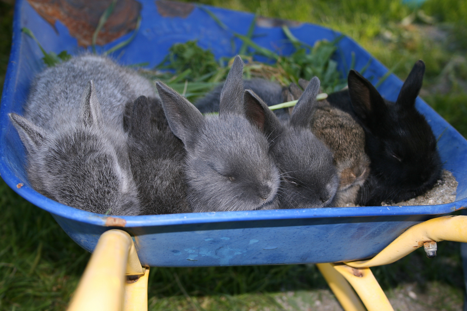 die Osterhasen schlafen noch ;-)