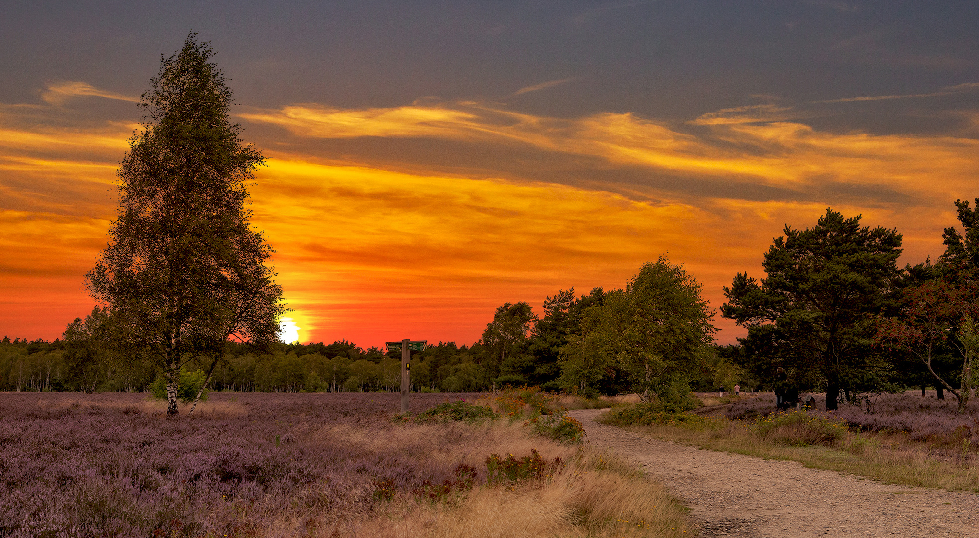 Die Osterheide 001 