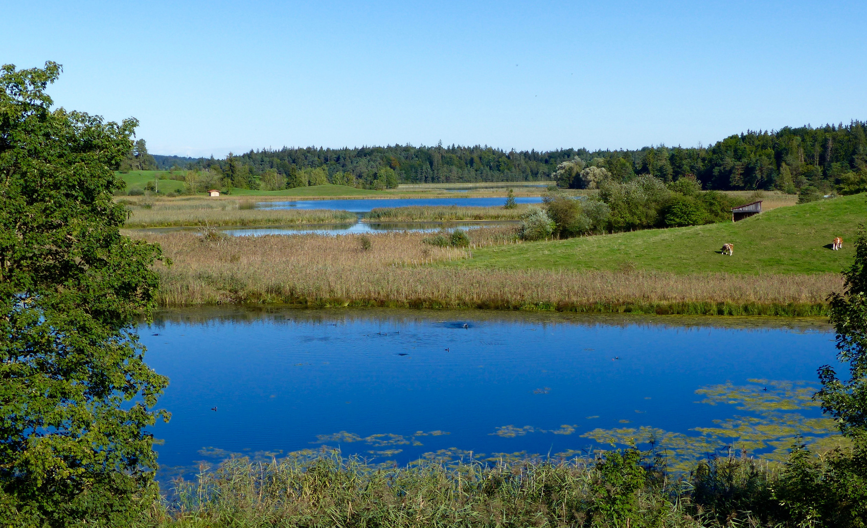 Die Osterseen