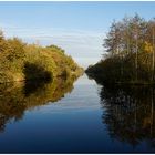 Die ostfriesischen Everglades