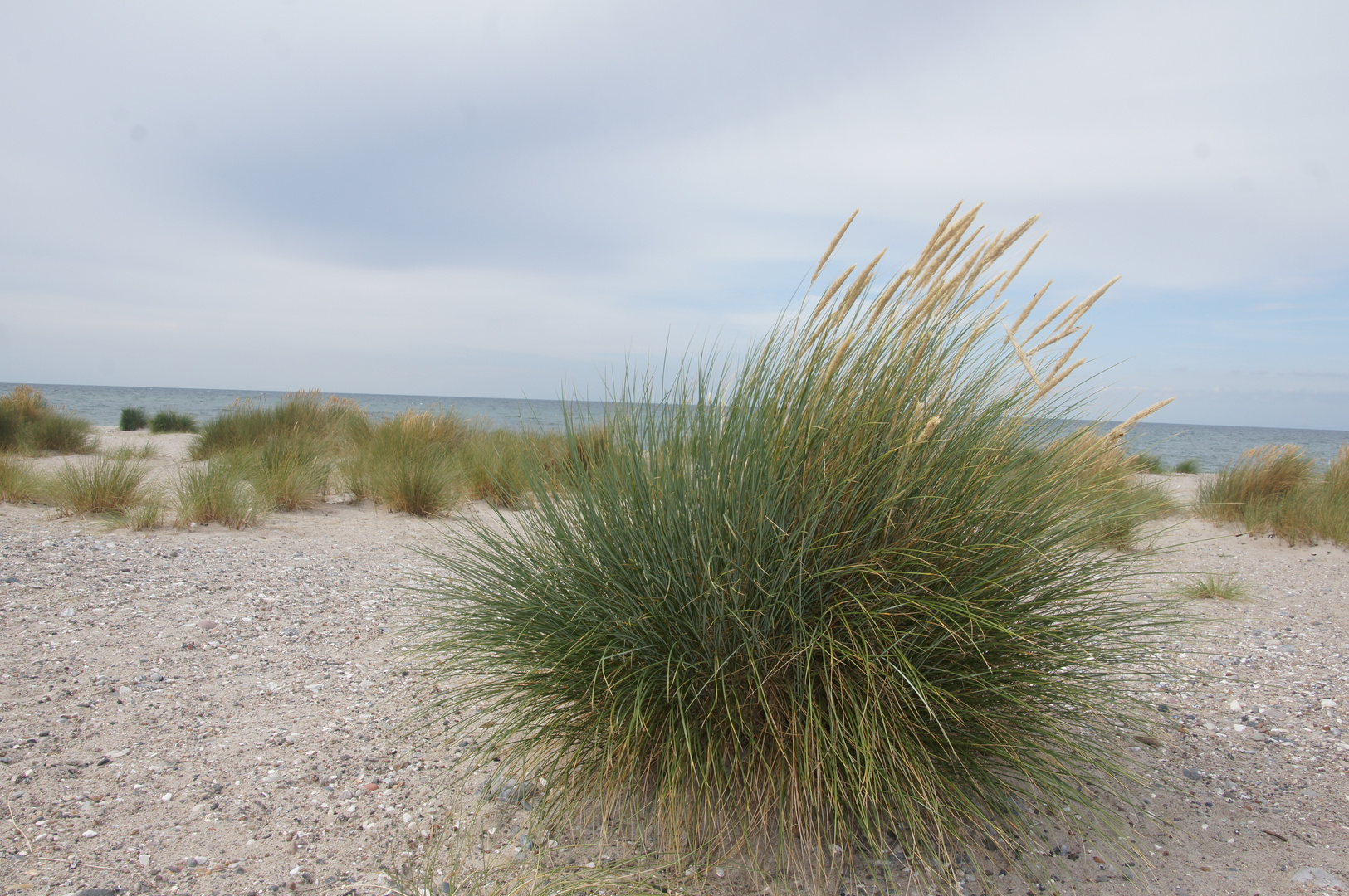 Die Ostsee