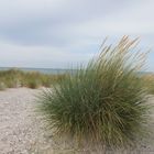 Die Ostsee