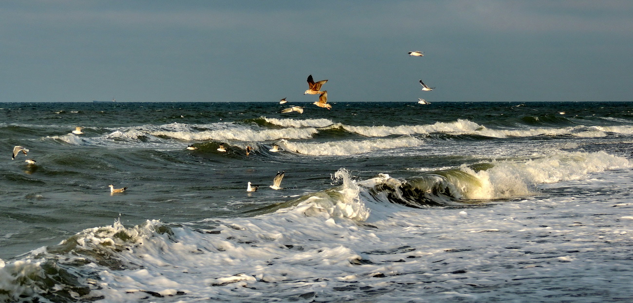 die Ostsee